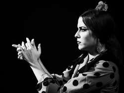 Teatro Flamenco Sevilla Show