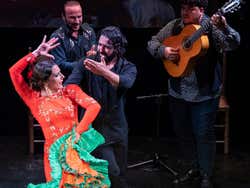 Flamenco Show at Teatro Triana