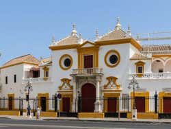 Maestranza Bullring Tour