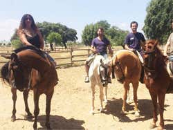 El Aljarafe & Doñana Horse Riding Tour