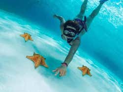 Excursión a Cozumel