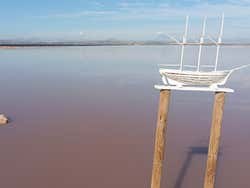 Tabarca, Santa Pola + Torrevieja Pink Lake Day Trip