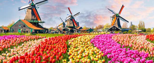 Day Trip to the Keukenhof Gardens