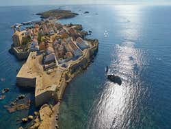 Excursión a la isla de Tabarca y el palmeral de Elche