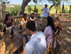 Requena Day Trip +  Murviedro & Vera de Estenas Wineries Tour