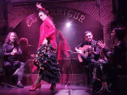 Espectáculo en el Tablao Flamenco El Paraigua