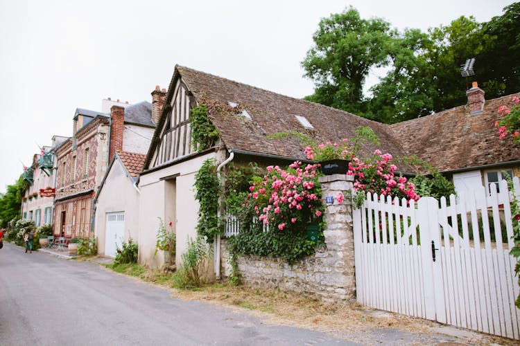 Monet's House and Gardens ticket and Giverny bike tour from Paris