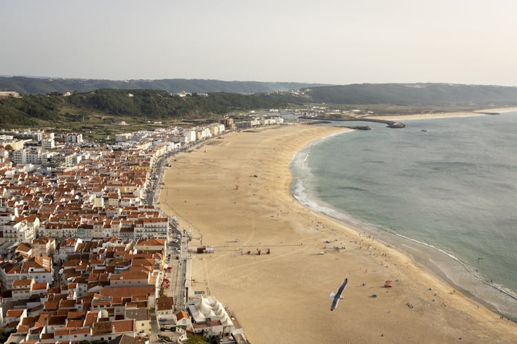Porto, Nazaré and Óbidos Full Day Tour from Lisbon