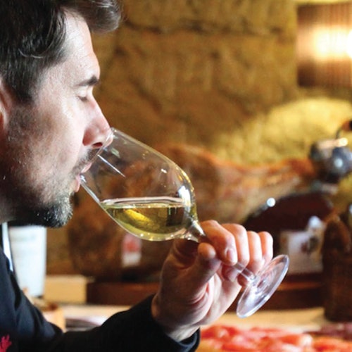 Douro Valley: Small Group Wine Tour from Porto