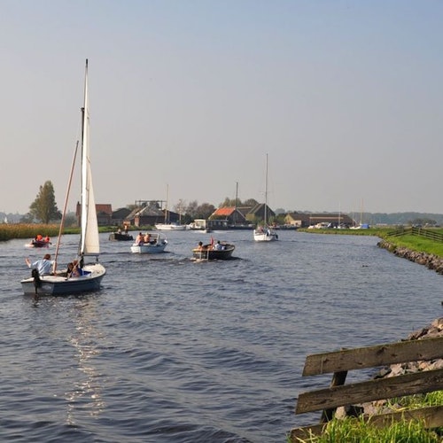 Keukenhof: Guided Tour + Tulip Farm Visit + Windmill Cruise