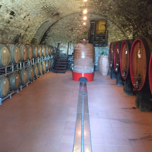 Región de Chianti: Excursión de un día desde Florencia + Visita a una bodega