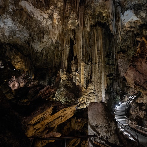 Cuevas de Nerja: Entrada