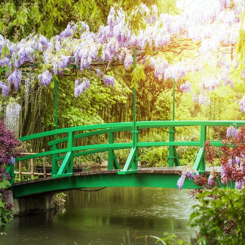 Monet's Garden in Giverny: Half-Day Audio-Guided Tour from Paris