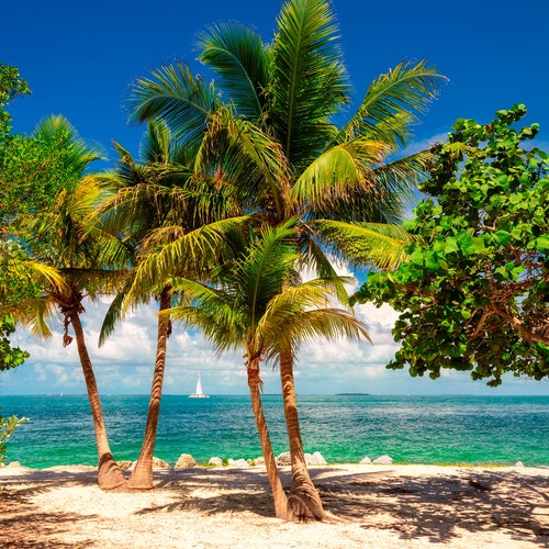 Cayo Hueso: Excursión de un día desde Miami