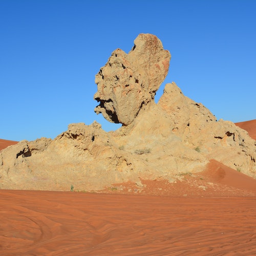 Safari a Hatta desde Dubai: Presa, Pueblo Patrimonio, Jardín de la Miel y Desayuno