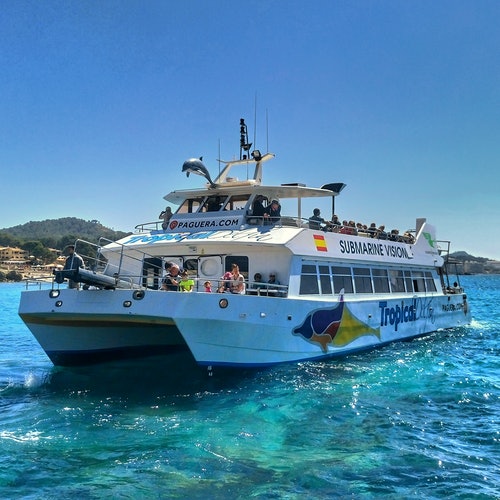 Santa Ponsa: Excursión de 3 horas en barco para avistar delfines + Snorkel