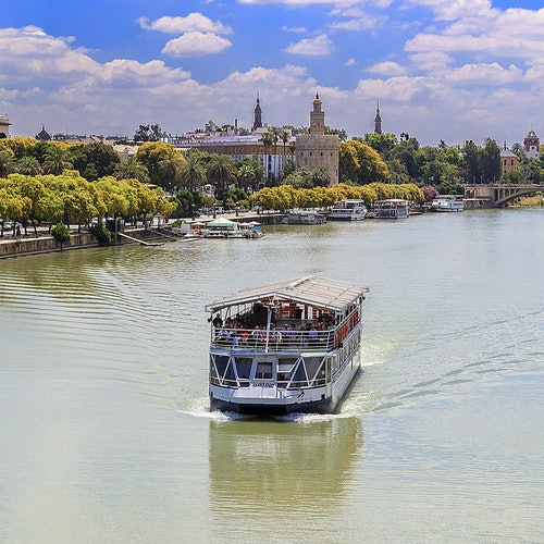 Sevilla: Crucero turístico desde Torre Del Oro