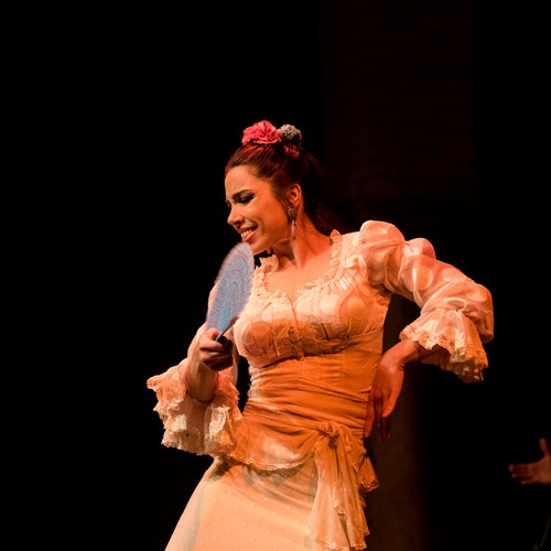 Espectáculo en directo en el Museo del Baile Flamenco
