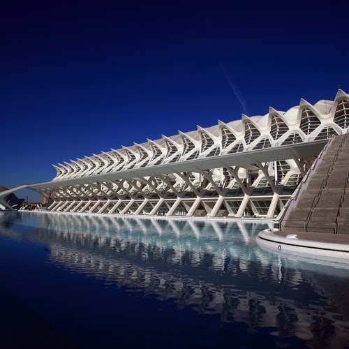 Museo de las Ciencias de Valencia: Entrada sin colas