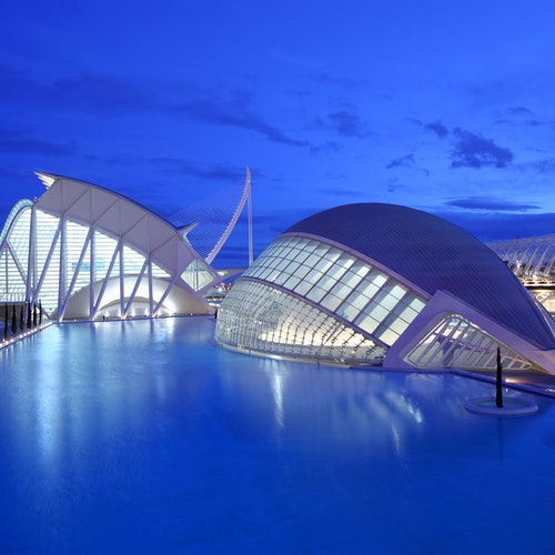 Oceanogràfic, Museo de las Ciencias y Hemisfèric: Entrada
