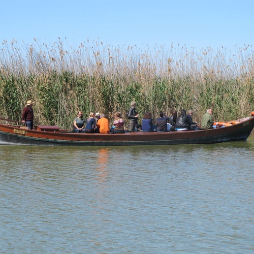 Desde Valencia: Bus + Paseo en barco por la Albufera