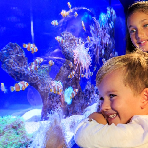 Palma Aquarium: Entrada sin colas + Cine 3D (opcional)