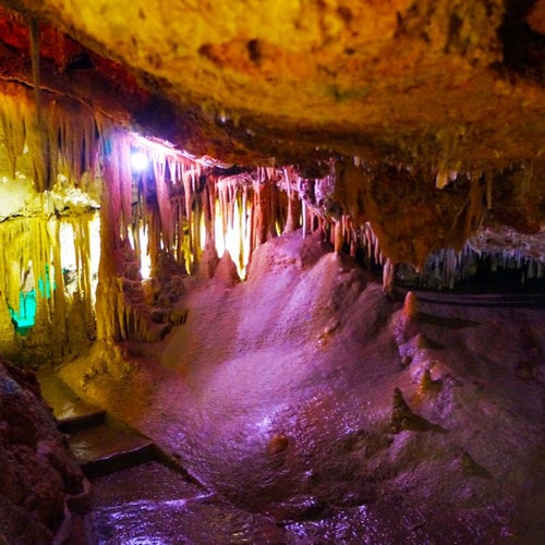 Cuevas de Génova: Entrada sin colas