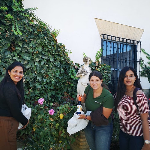 Visita guiada desde Sevilla a la Hacienda Olivar