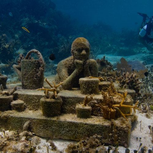 Cancún: Paseo en barco con fondo de cristal por el Museo Subacuático de Arte MUSA con bebida