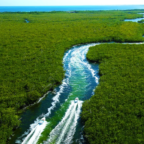Cancún: Museo Subacuático MUSA, lancha rápida por la jungla y excursión de snorkel