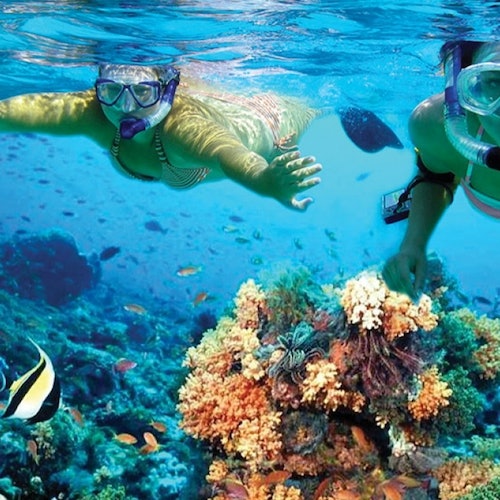 Isla Mujeres: Excursión Premium en Catamarán desde Cancún