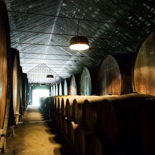 Porto: Half Day City Tour by Bus with Port Wine Tasting + Cruise