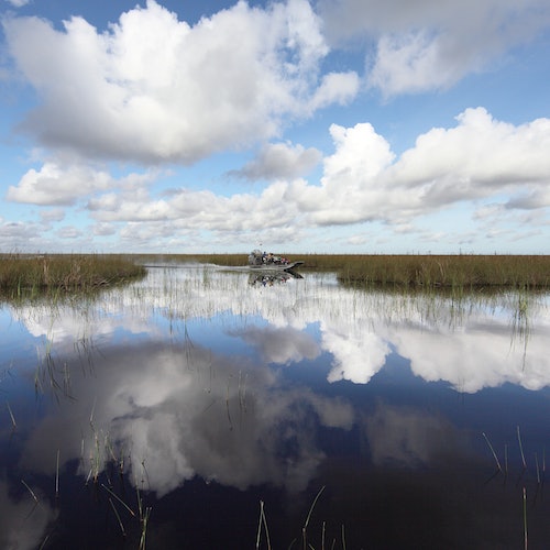 Fort Lauderdale: Florida Everglades Adventure Package