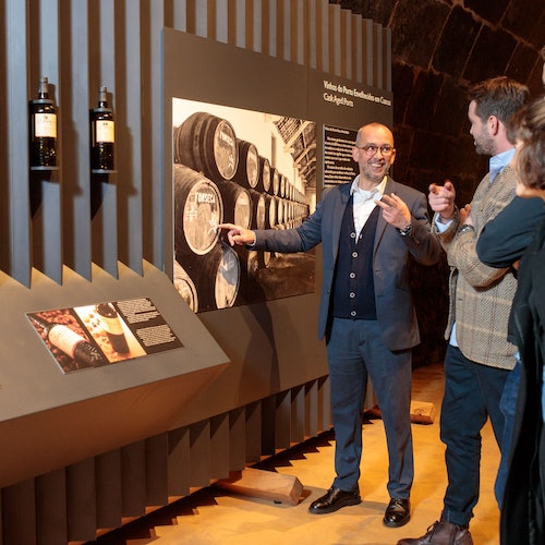 Fonesca Port Wine Cellar: Guided Tour & Tasting  + Dinner + Fado Show