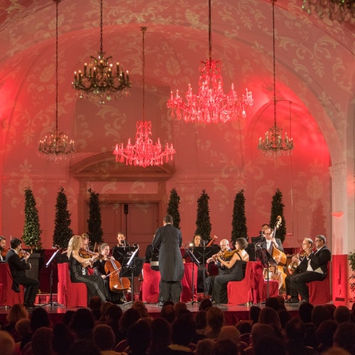 Palacio de Schönbrunn: Entrada fuera de horario, cena de 3 platos y concierto en el invernadero