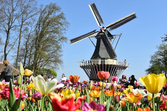 Half-day tour to Keukenhof Gardens with optional canal cruise