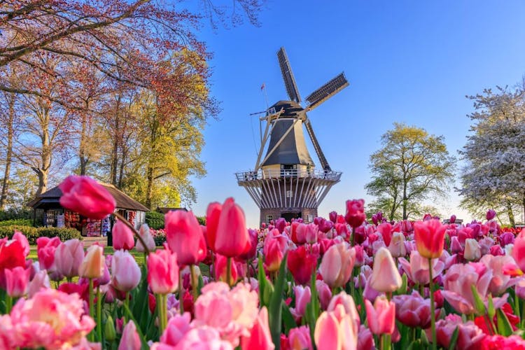 Keukenhof Gardens full-day tour with Flower Parade and optional cruise