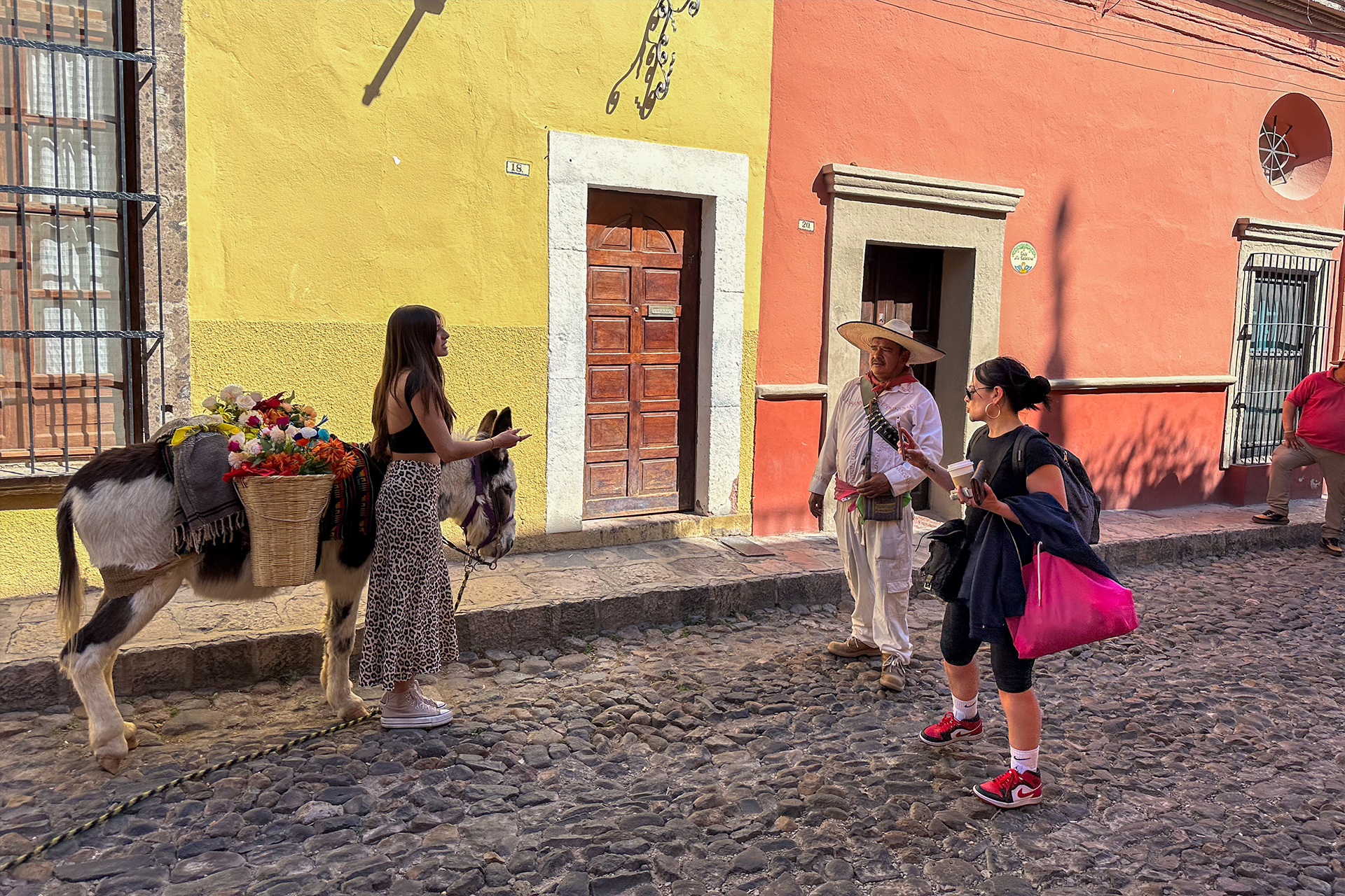 Excursión a San Miguel de Allende desde Ciudad de México