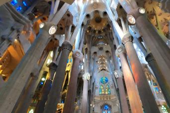 Sagrada Familia Tour with optional Tower Access
