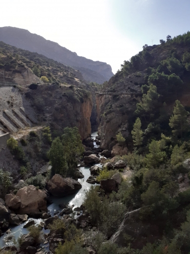 Private tour in Malaga